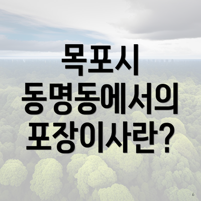 목포시 동명동에서의 포장이사란?