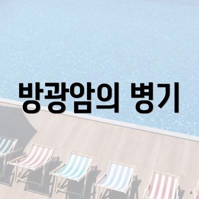 방광암의 병기