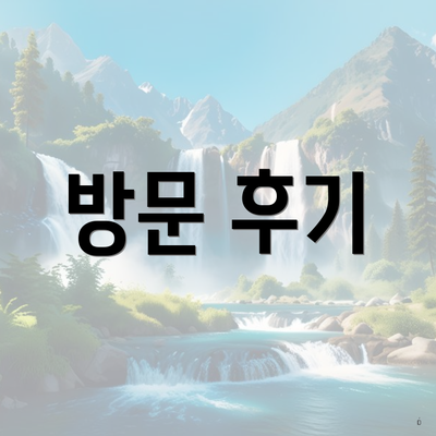 방문 후기