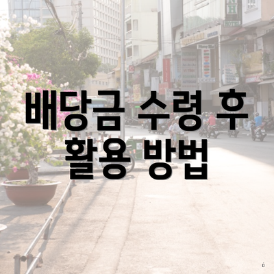 배당금 수령 후 활용 방법