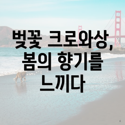 벚꽃 크로와상, 봄의 향기를 느끼다