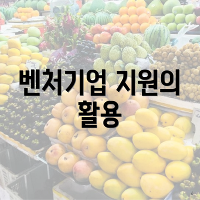 벤처기업 지원의 활용