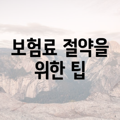 보험료 절약을 위한 팁