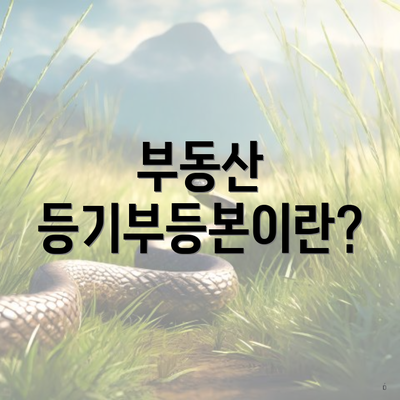 부동산 등기부등본이란?