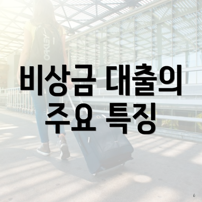 비상금 대출의 주요 특징