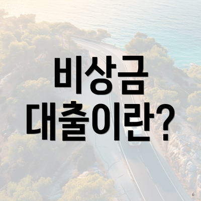 비상금 대출이란?