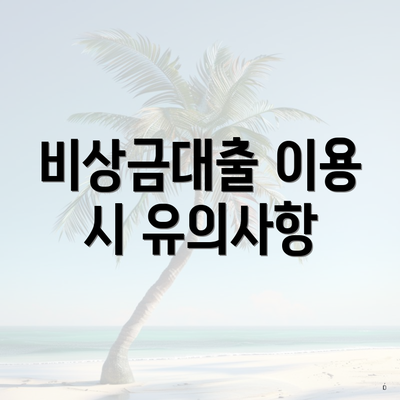 비상금대출 이용 시 유의사항