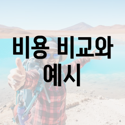 비용 비교와 예시