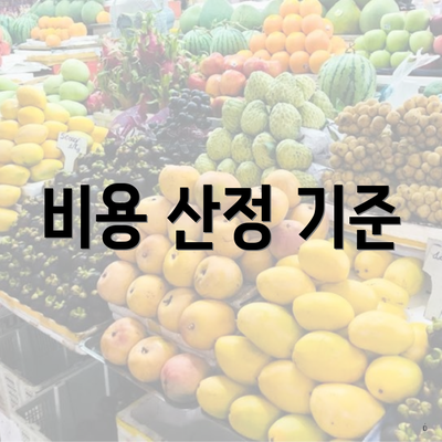 비용 산정 기준