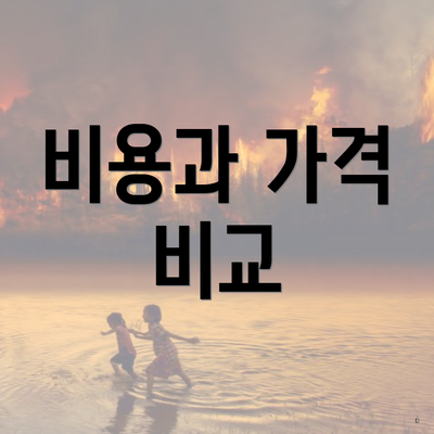 비용과 가격 비교
