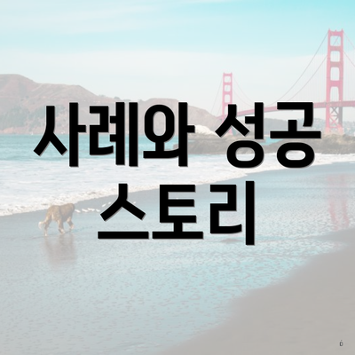 사례와 성공 스토리