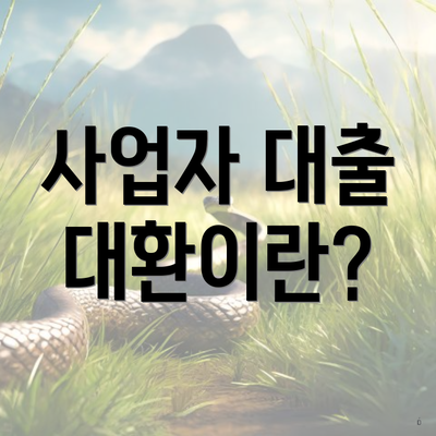 사업자 대출 대환이란?
