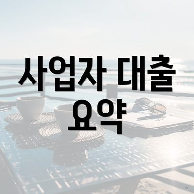 사업자 대출 요약