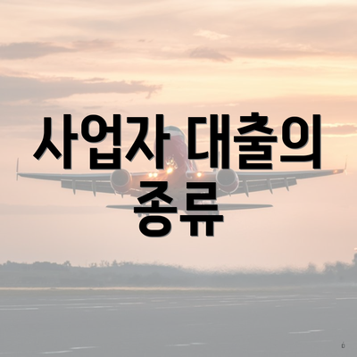 사업자 대출의 종류