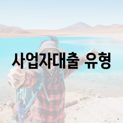 사업자대출 유형