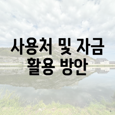 사용처 및 자금 활용 방안
