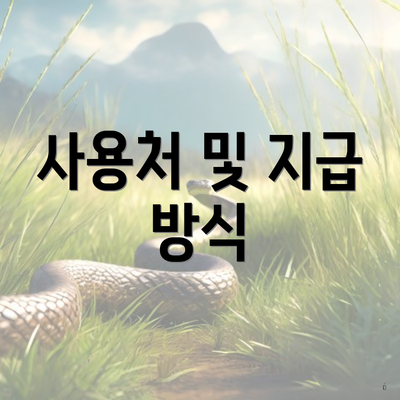 사용처 및 지급 방식