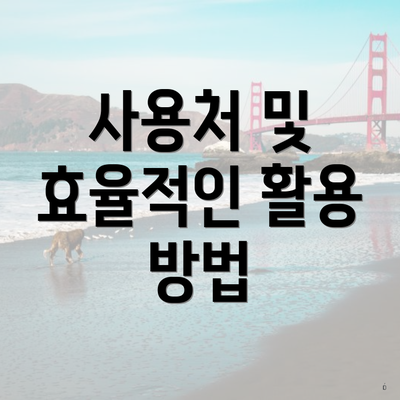 사용처 및 효율적인 활용 방법