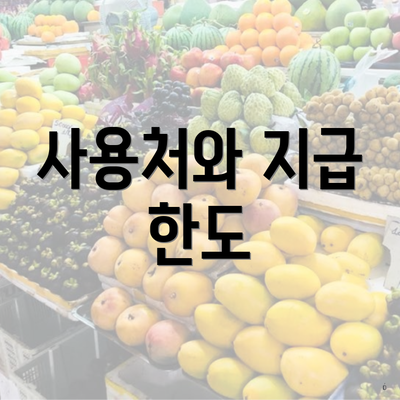 사용처와 지급 한도