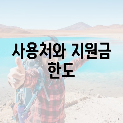 사용처와 지원금 한도