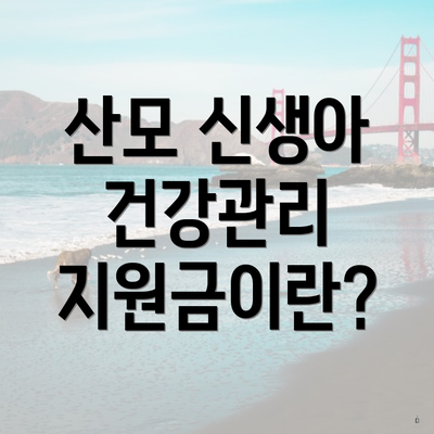 산모 신생아 건강관리 지원금이란?