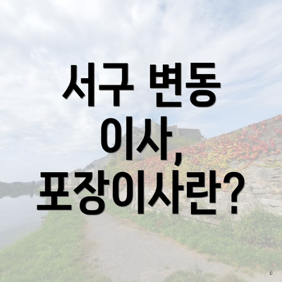 서구 변동 이사, 포장이사란?