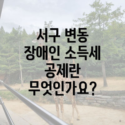 서구 변동 장애인 소득세 공제란 무엇인가요?
