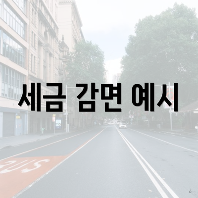 세금 감면 예시