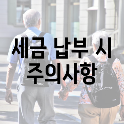 세금 납부 시 주의사항