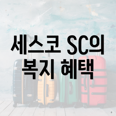 세스코 SC의 복지 혜택