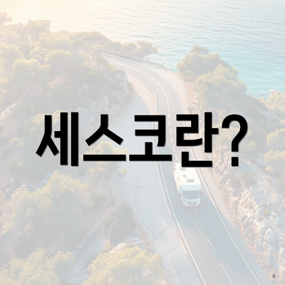 세스코란?
