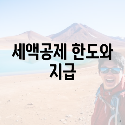 세액공제 한도와 지급