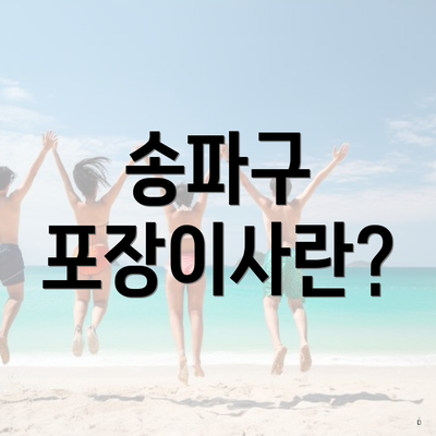 송파구 포장이사란?