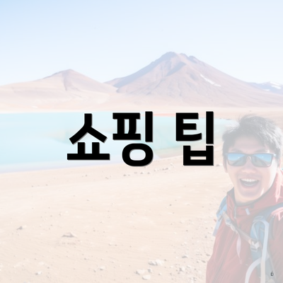 쇼핑 팁