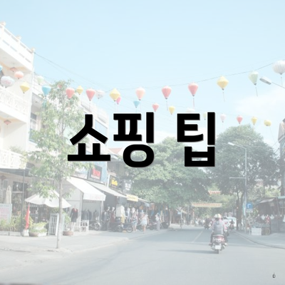 쇼핑 팁