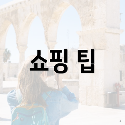 쇼핑 팁