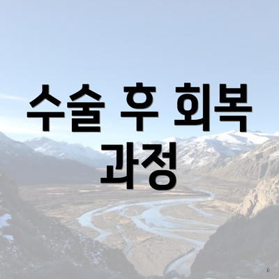 수술 후 회복 과정