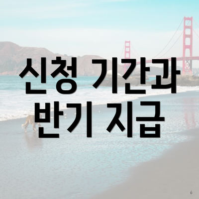 신청 기간과 반기 지급
