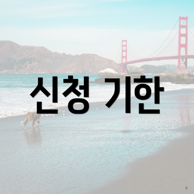 신청 기한