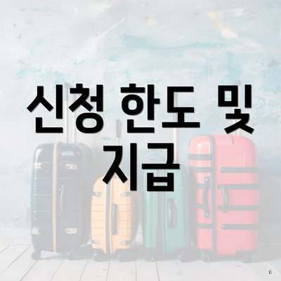 신청 한도 및 지급