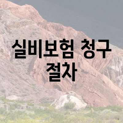 실비보험 청구 절차