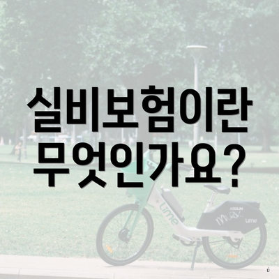 실비보험이란 무엇인가요?