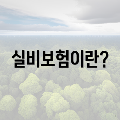 실비보험이란?