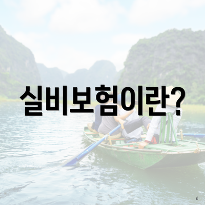 실비보험이란?