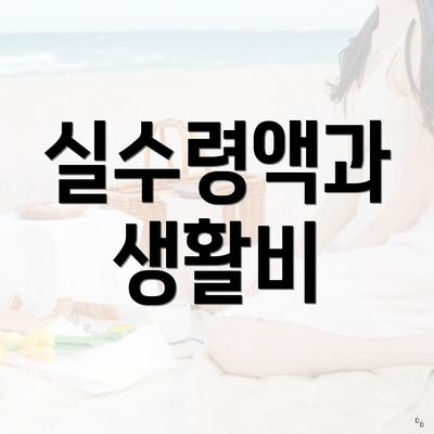 실수령액과 생활비