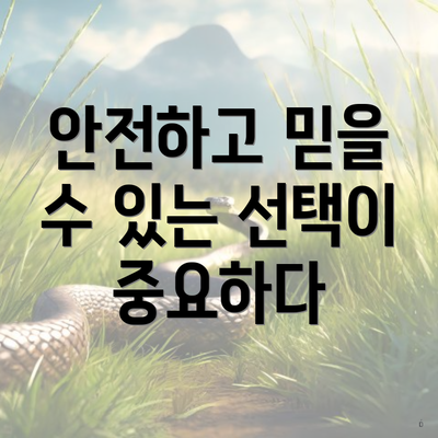 안전하고 믿을 수 있는 선택이 중요하다