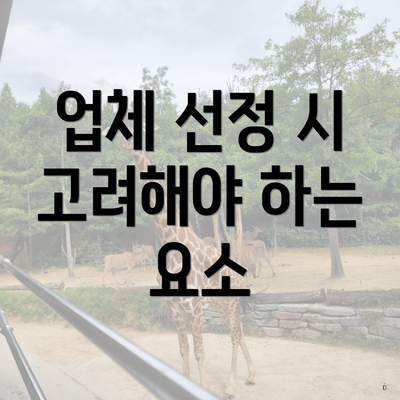 업체 선정 시 고려해야 하는 요소