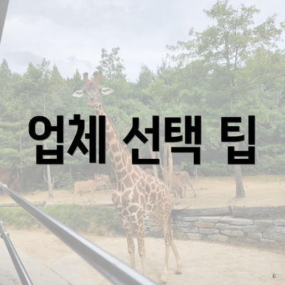 업체 선택 팁