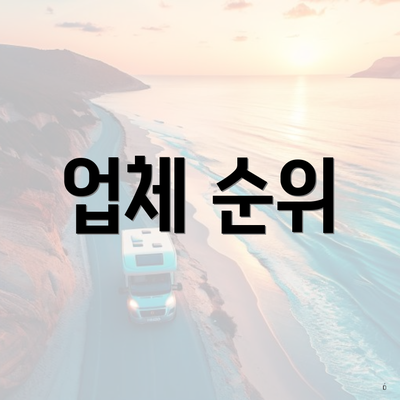 업체 순위