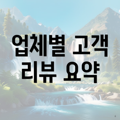 업체별 고객 리뷰 요약